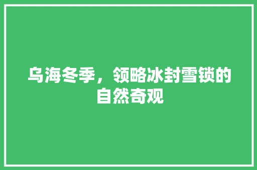 乌海冬季，领略冰封雪锁的自然奇观