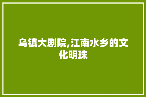 乌镇大剧院,江南水乡的文化明珠