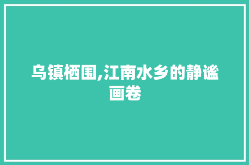 乌镇栖围,江南水乡的静谧画卷