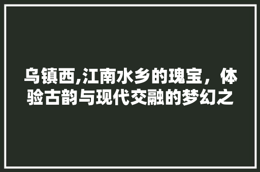 乌镇西,江南水乡的瑰宝，体验古韵与现代交融的梦幻之旅