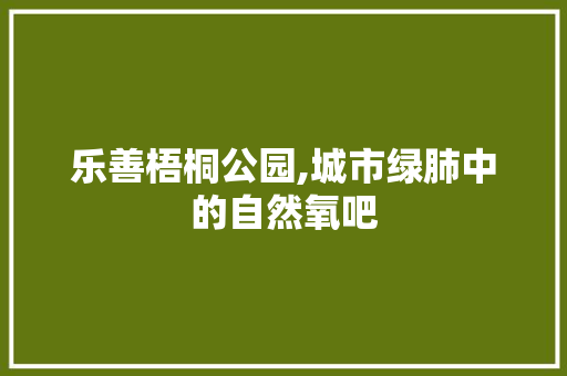 乐善梧桐公园,城市绿肺中的自然氧吧