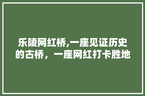 乐陵网红桥,一座见证历史的古桥，一座网红打卡胜地