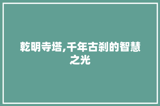 乾明寺塔,千年古刹的智慧之光