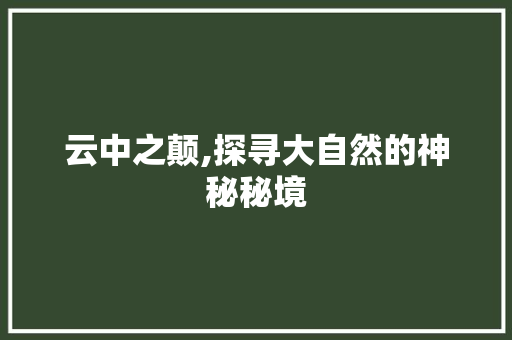 云中之颠,探寻大自然的神秘秘境