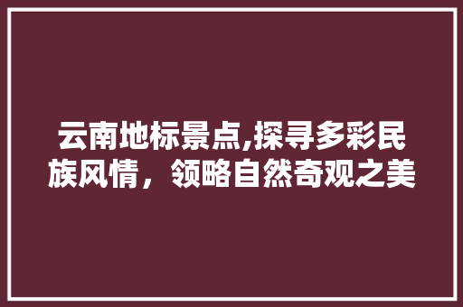 云南地标景点,探寻多彩民族风情，领略自然奇观之美