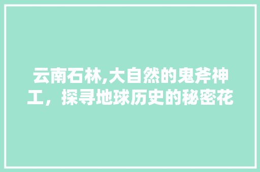 云南石林,大自然的鬼斧神工，探寻地球历史的秘密花园