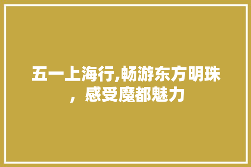 五一上海行,畅游东方明珠，感受魔都魅力