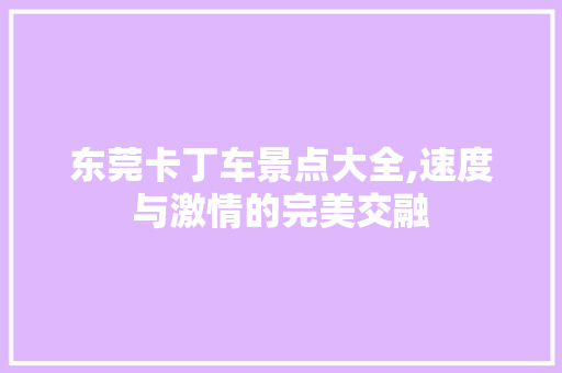 东莞卡丁车景点大全,速度与激情的完美交融