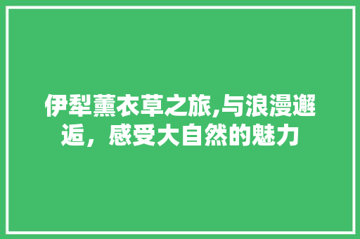 伊犁薰衣草之旅,与浪漫邂逅，感受大自然的魅力