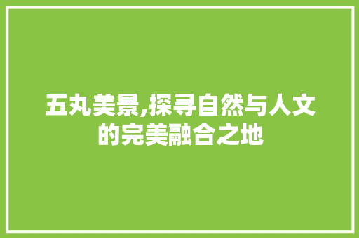 五丸美景,探寻自然与人文的完美融合之地