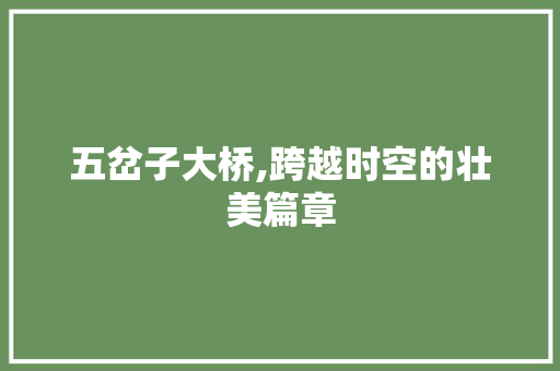 五岔子大桥,跨越时空的壮美篇章  第1张