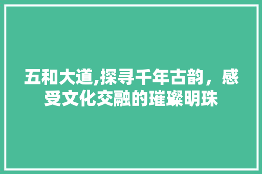 五和大道,探寻千年古韵，感受文化交融的璀璨明珠