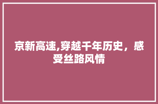 京新高速,穿越千年历史，感受丝路风情