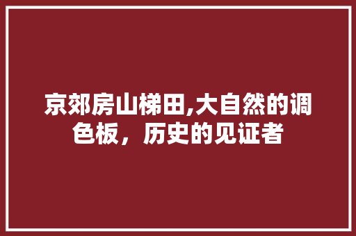 京郊房山梯田,大自然的调色板，历史的见证者