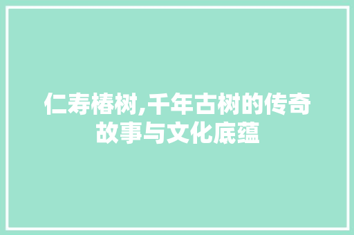 仁寿椿树,千年古树的传奇故事与文化底蕴