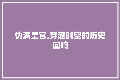 伪满皇宫,穿越时空的历史回响  第1张