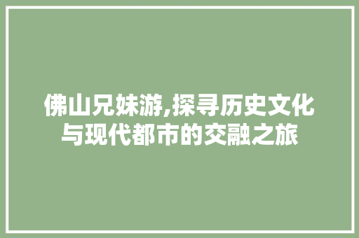 佛山兄妹游,探寻历史文化与现代都市的交融之旅