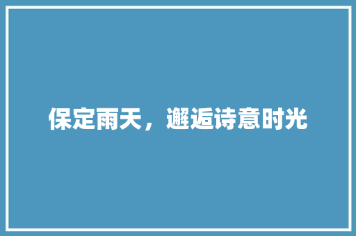 保定雨天，邂逅诗意时光