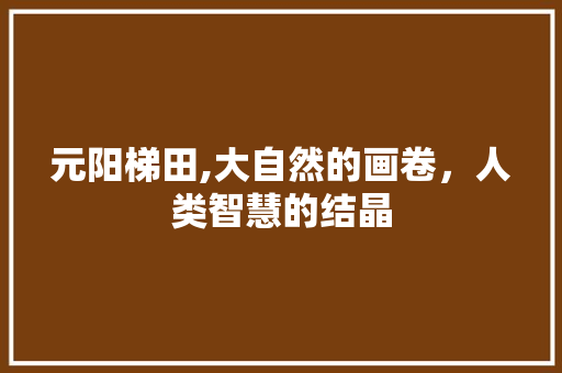 元阳梯田,大自然的画卷，人类智慧的结晶