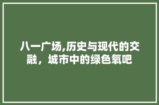 八一广场,历史与现代的交融，城市中的绿色氧吧