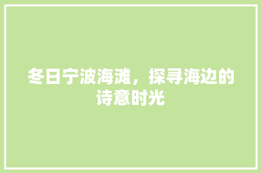 冬日宁波海滩，探寻海边的诗意时光