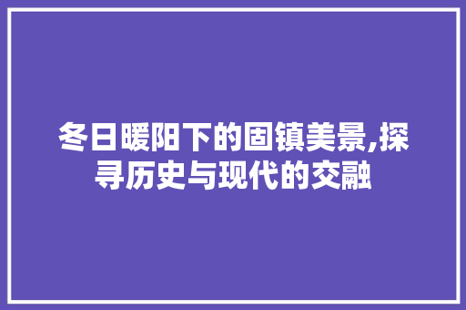 冬日暖阳下的固镇美景,探寻历史与现代的交融