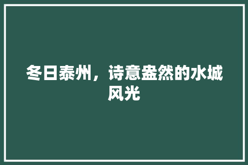 冬日泰州，诗意盎然的水城风光