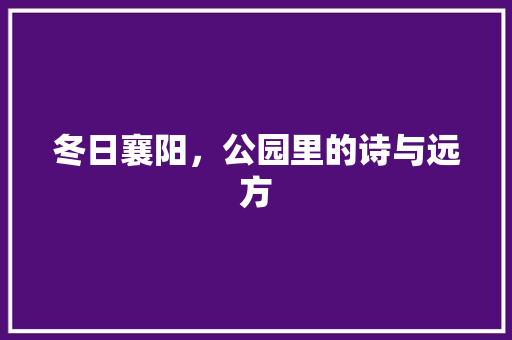 冬日襄阳，公园里的诗与远方