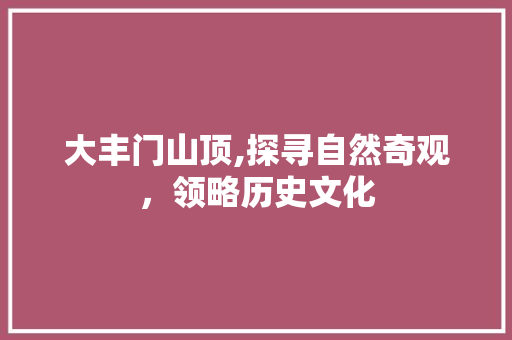 大丰门山顶,探寻自然奇观，领略历史文化