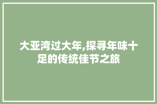 大亚湾过大年,探寻年味十足的传统佳节之旅