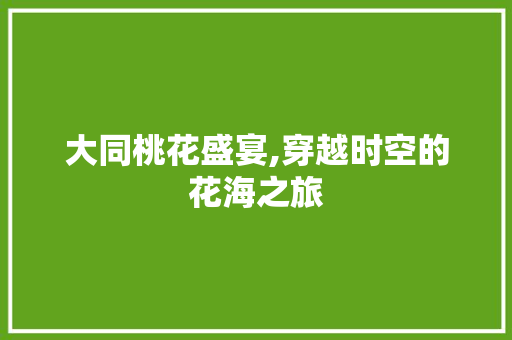 大同桃花盛宴,穿越时空的花海之旅