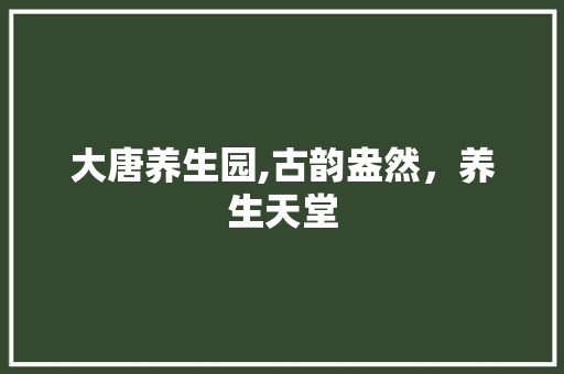 大唐养生园,古韵盎然，养生天堂