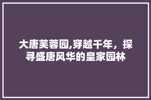 大唐芙蓉园,穿越千年，探寻盛唐风华的皇家园林