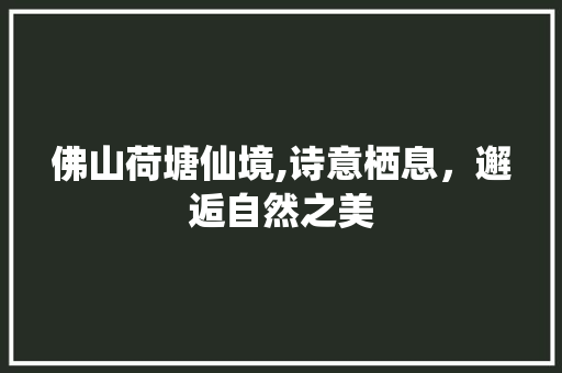 佛山荷塘仙境,诗意栖息，邂逅自然之美