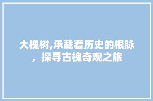 大槐树,承载着历史的根脉，探寻古槐奇观之旅