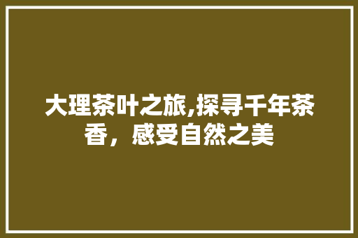 大理茶叶之旅,探寻千年茶香，感受自然之美