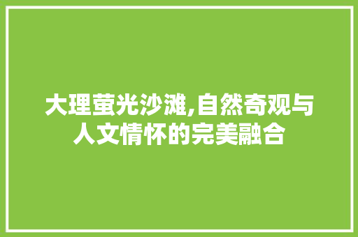 大理萤光沙滩,自然奇观与人文情怀的完美融合  第1张