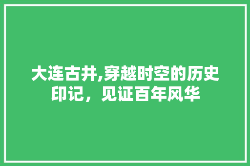 大连古井,穿越时空的历史印记，见证百年风华