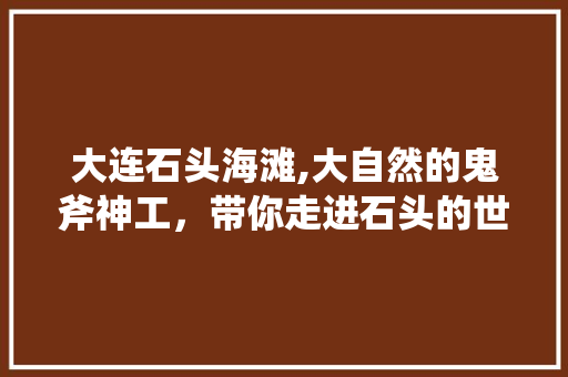 大连石头海滩,大自然的鬼斧神工，带你走进石头的世界