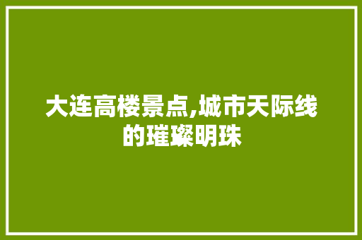 大连高楼景点,城市天际线的璀璨明珠