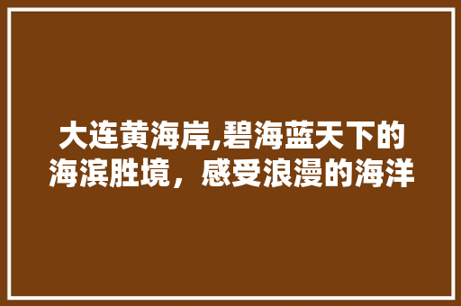 大连黄海岸,碧海蓝天下的海滨胜境，感受浪漫的海洋风情