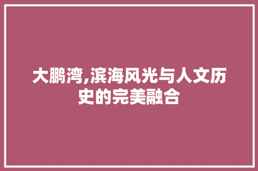 大鹏湾,滨海风光与人文历史的完美融合  第1张