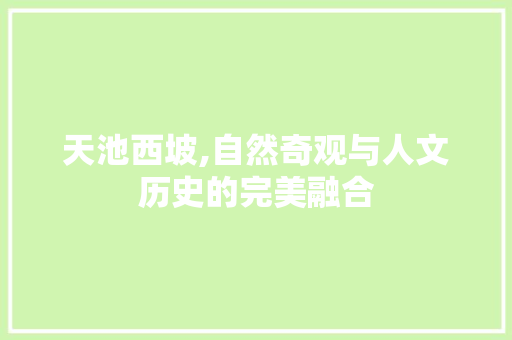 天池西坡,自然奇观与人文历史的完美融合  第1张