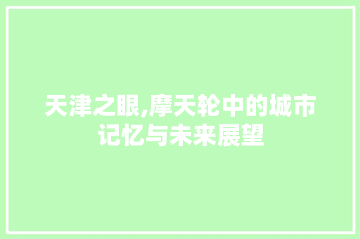 天津之眼,摩天轮中的城市记忆与未来展望