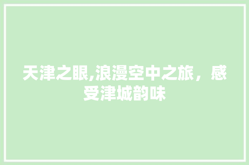 天津之眼,浪漫空中之旅，感受津城韵味