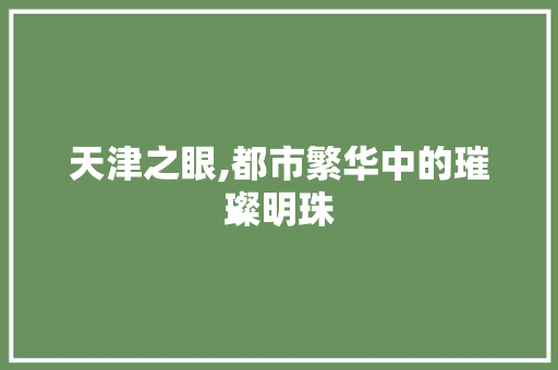 天津之眼,都市繁华中的璀璨明珠