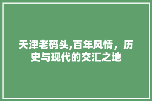 天津老码头,百年风情，历史与现代的交汇之地