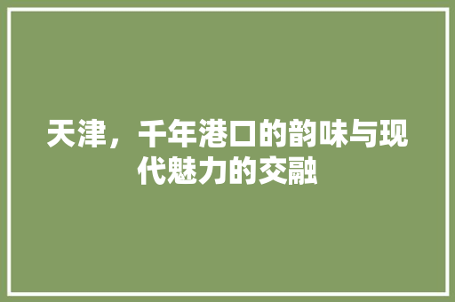 天津，千年港口的韵味与现代魅力的交融  第1张