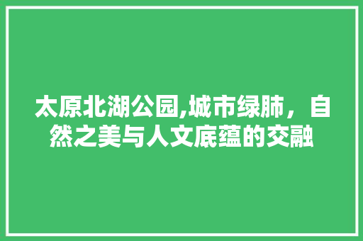 太原北湖公园,城市绿肺，自然之美与人文底蕴的交融