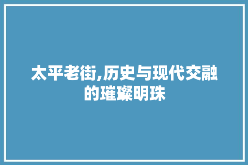 太平老街,历史与现代交融的璀璨明珠